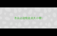 怎么让边牧定点大小便