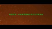 最新推荐20种宠物鹦鹉品种全及饲养指南