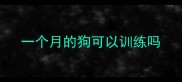 一个月的狗可以训练吗