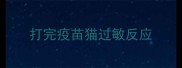 打完疫苗猫过敏反应