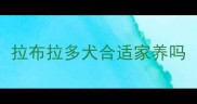拉布拉多犬合适家养吗