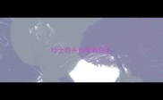 哈士奇头后面有白毛