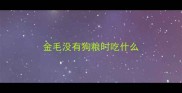 金毛没有狗粮时吃什么