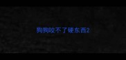 狗狗咬不了硬东西