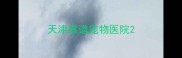 天津靠谱宠物医院