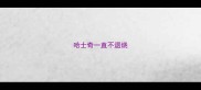 哈士奇一直不退烧