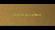 拉布拉多成年后的体重