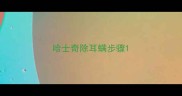 哈士奇除耳螨步骤