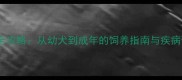 拉布拉多全攻略从幼犬到成年的饲养指南与疾病预防手册