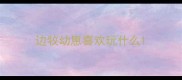 边牧幼崽喜欢玩什么