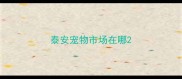 泰安宠物市场在哪