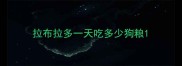 拉布拉多一天吃多少狗粮