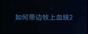 如何带边牧上血统