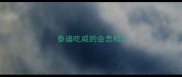 泰迪吃咸的会怎样