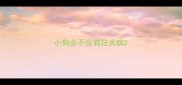 小狗会不会有狂犬病
