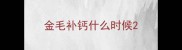 金毛补钙什么时候
