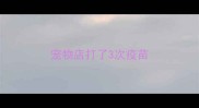 宠物店打了3次疫苗