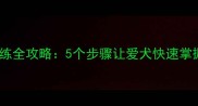 金毛犬捡东西训练全攻略5个步骤让爱犬快速掌握物品捡拾技能