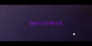 边牧什么时候长高