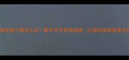 捡到流浪小狗怎么办新手30天养成指南从接回家到疫苗全攻略