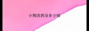 小狗洗药浴多少钱