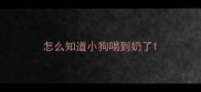 怎么知道小狗喝到奶了