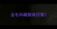 金毛和藏獒谁厉害