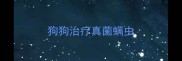 狗狗治疗真菌螨虫