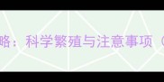 拉布拉多配对全攻略科学繁殖与注意事项附繁殖流程图解