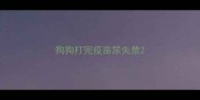狗狗打完疫苗尿失禁