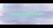 自己家小狗狗牙划破手