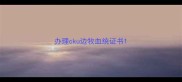 办理cku边牧血统证书