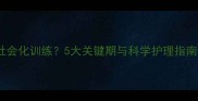 贵宾犬几个月开始社会化训练5大关键期与科学护理指南附成长时间表