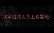 我家边牧舌头上有黑斑