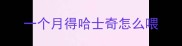 一个月得哈士奇怎么喂