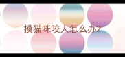 摸猫咪咬人怎么办