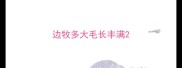 边牧多大毛长丰满