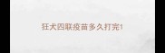 狂犬四联疫苗多久打完