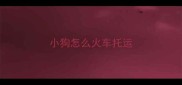 小狗怎么火车托运