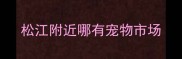 松江附近哪有宠物市场