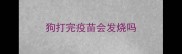 狗打完疫苗会发烧吗