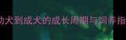 杜宾犬身高发育全从幼犬到成犬的成长周期与饲养指南附标准身高对照表