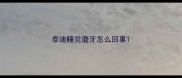 泰迪睡觉磨牙怎么回事
