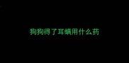 狗狗得了耳螨用什么药