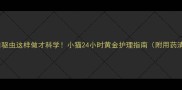 疫苗后驱虫这样做才科学小猫24小时黄金护理指南附用药清单