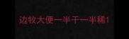 边牧大便一半干一半稀