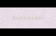 黑拉布拉多毛掉色