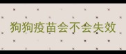 狗狗疫苗会不会失效