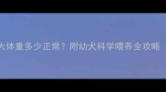 德牧5个月大体重多少正常附幼犬科学喂养全攻略附对比图