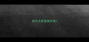 郑州大型宠物市场